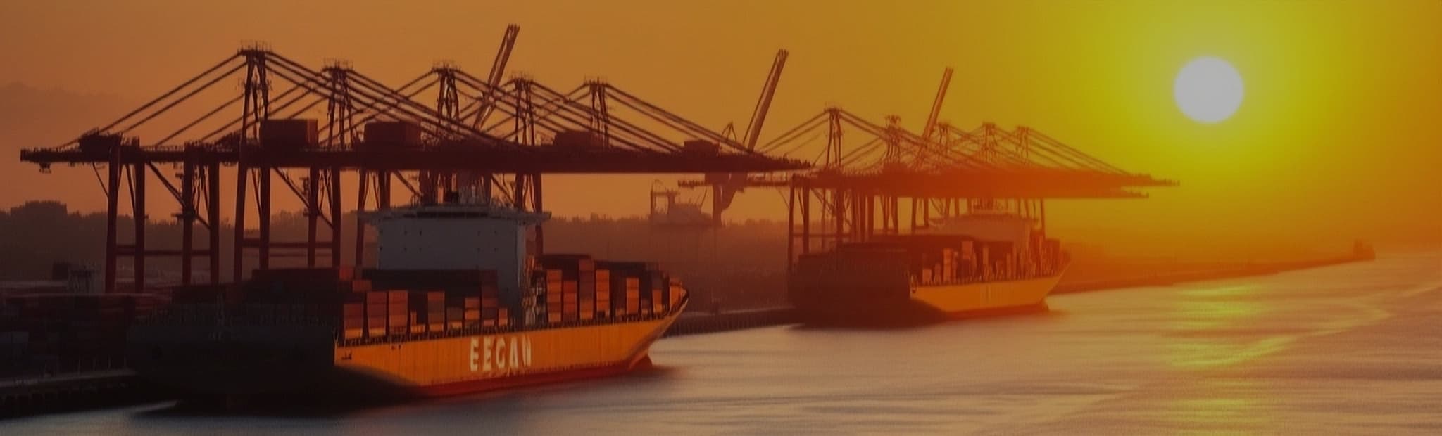 Petrochemical & Industrial Manufacturing